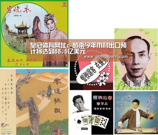 皇冠体育网址:越南今年木材出口预计将达到88.5亿美元(图1) 皇冠体育网址