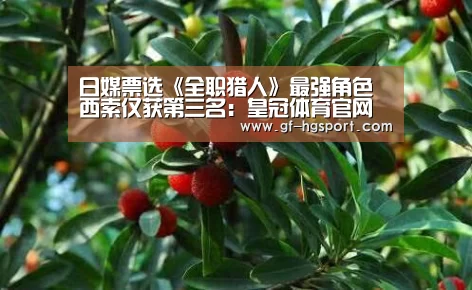 皇冠体育