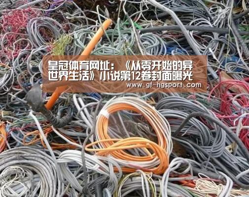 皇冠体育网址:《从零开始的异世界生活》小说第12卷封面曝光 “色欲魔女”卡米拉登场(图1) 皇冠体育