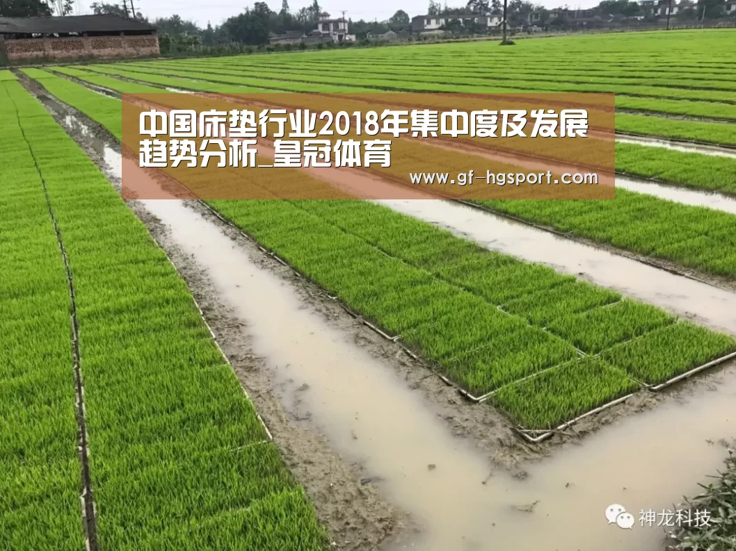 皇冠官方